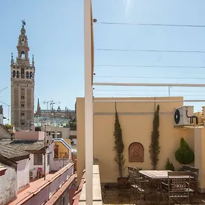 Apartment Botanic Duplex Terrace 5 Pax, Seville